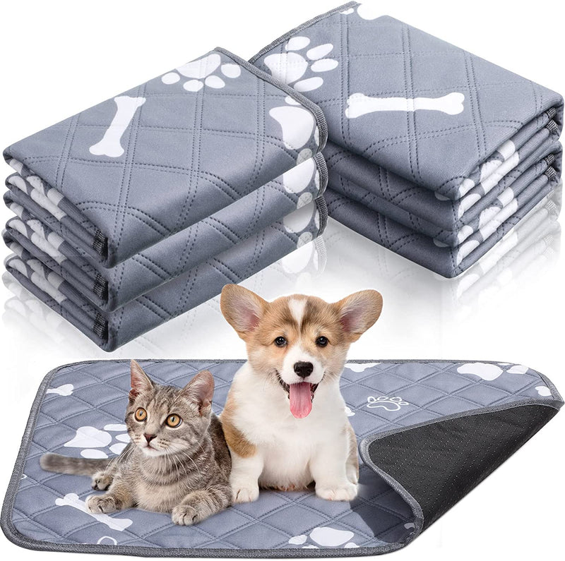 Tapete Absorvente para Pets